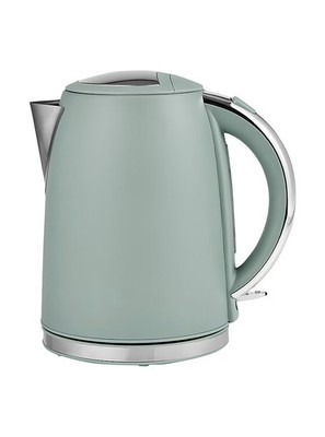 Sage green kettle stainless - green,