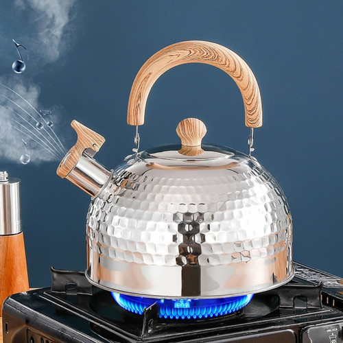 Stainless steel whistle kettle - stainless,