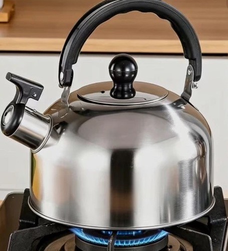 Stainless steel whistling tea - stainless,